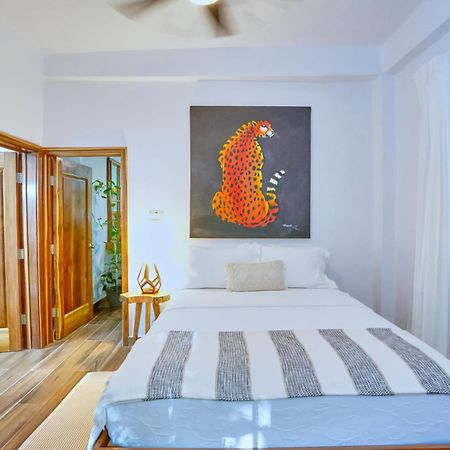 Villa Massis Luxury Villas San Ignacio Kültér fotó