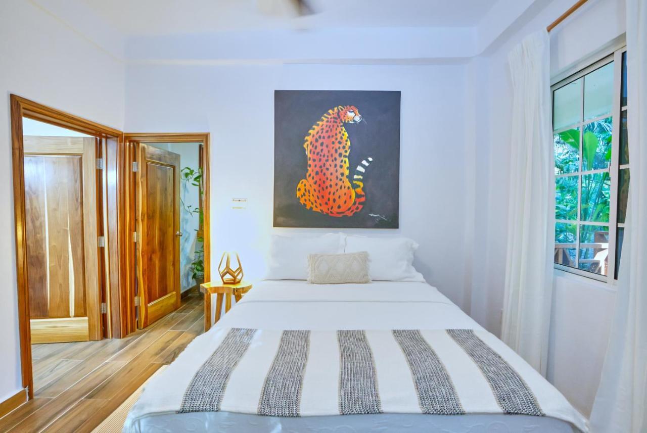 Villa Massis Luxury Villas San Ignacio Kültér fotó