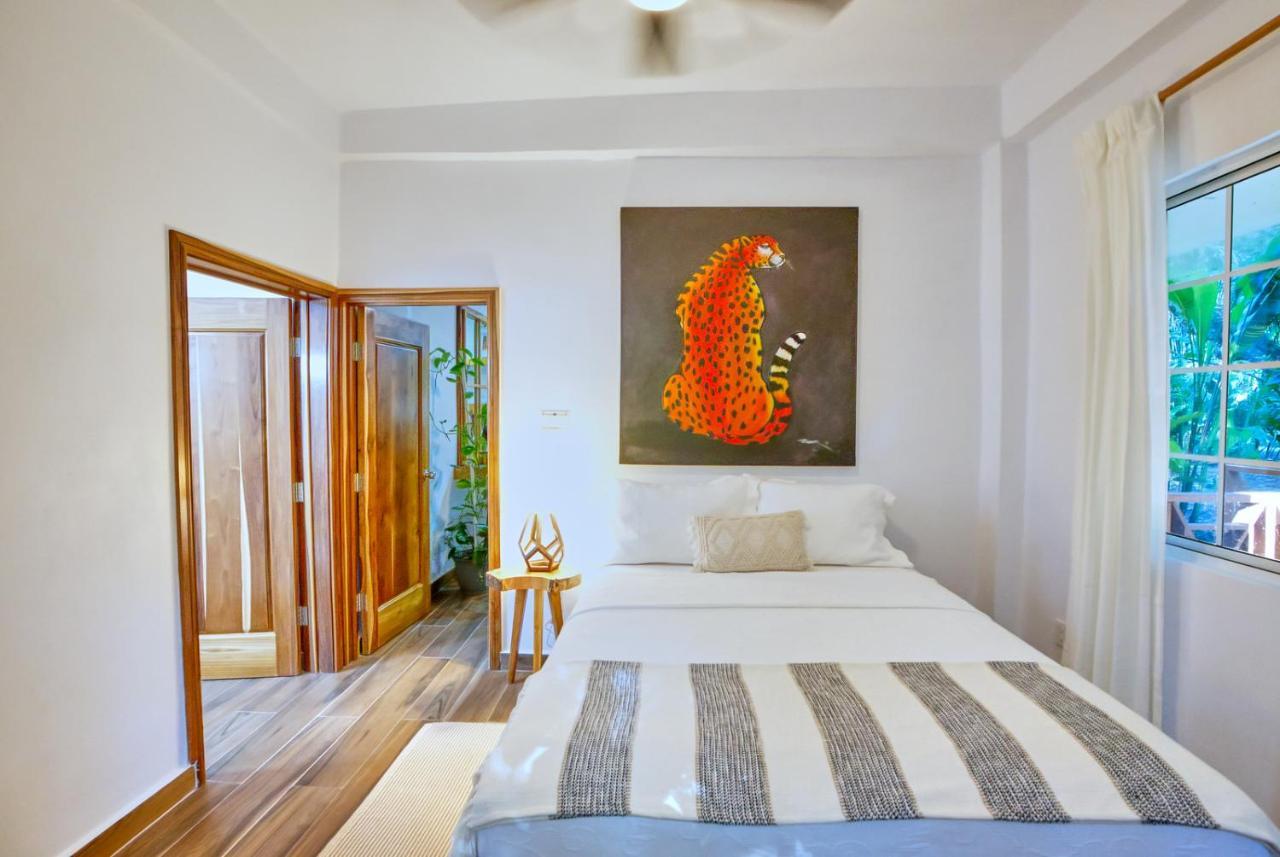 Villa Massis Luxury Villas San Ignacio Kültér fotó