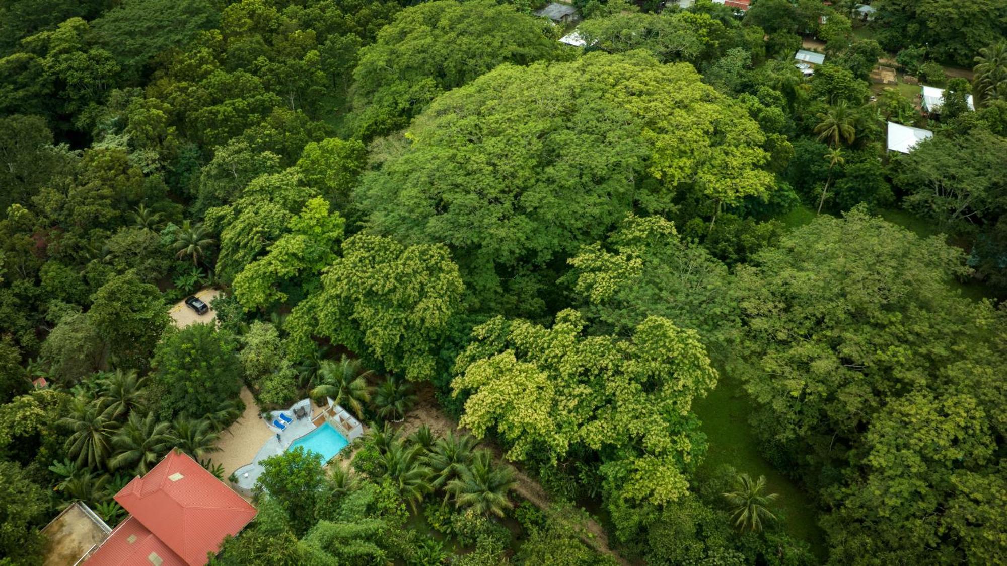 Villa Massis Luxury Villas San Ignacio Kültér fotó
